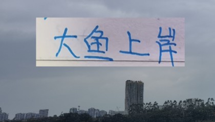 北京国安也是外援大结局了！来了德甲中卫，还有澳超冠军边锋