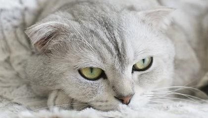 圈子不同别硬融，库追汤赛后叙旧波杰想加入，尬聊几句后悻悻离开