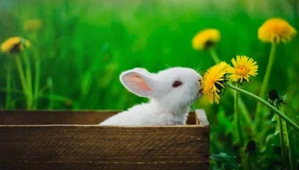 圈子不同别硬融，库追汤赛后叙旧波杰想加入，尬聊几句后悻悻离开